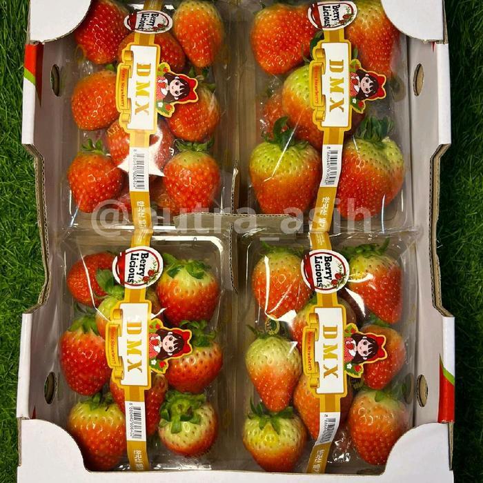FRESH STRAWBERRY KOREA/KOREAN STRAWBERRY