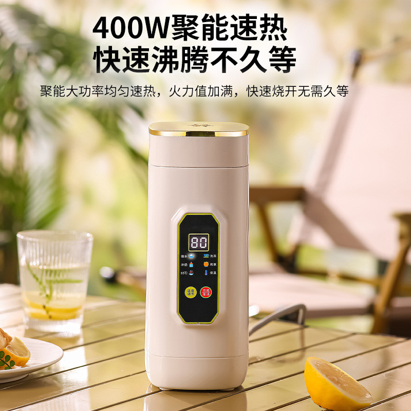 650ml Travel kettle portable Health pot Adjustable Outdoor tea kettle electric portable kettle