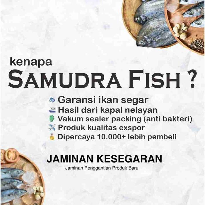 Udang Vaname Fresh size 40 Besar 250gr Ikan Semarang Udang Semarang Ikan Segar Semarang Belanja Ikan
