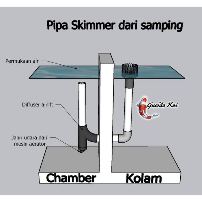 Diffuser Airlift Skimmer Kolam Koi 2 Inch