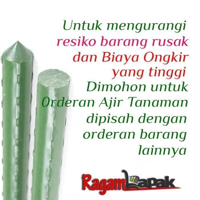 5 Pcs Plant Stake / Ajir Tanaman / Ajir Turus Modern 11 Mm X 180Cm