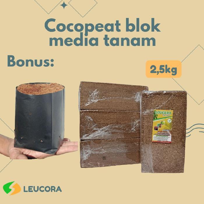 Serasiinspace Leucora Cocopeat Blok 2,5Kg - Halus Steril Siap Pakai Bonus Polybag Media Tanam