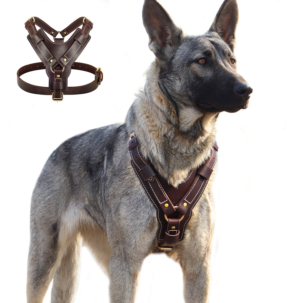 Durable Genuine Leather Dog Harness Large Dog Harness Vest Adjustable Strap for German Shepherd