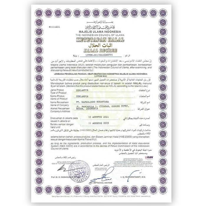 KAPSUL CURAH GINSENG PANAX JAMU KUAT PRIA HERBAL LIBIDO 100 CAPSUL