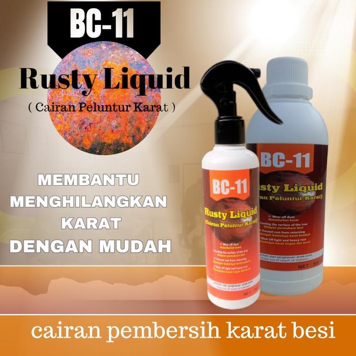 pembersih penghilang anti karat karatan besi stenlis motor mobil spray