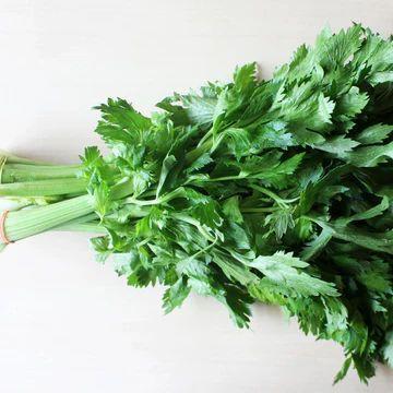 "New" Benih Bibit Seledri - Celery Kemasan Repack Import