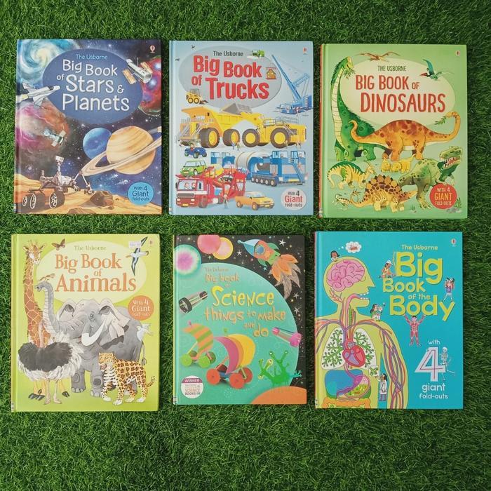 The Usborne Big Book Series