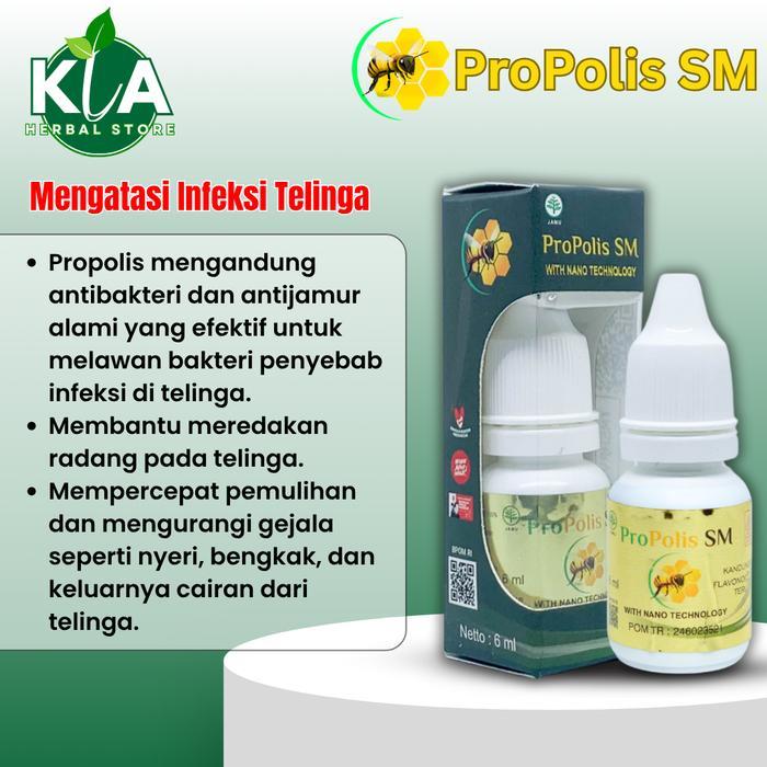 Terlaris! Obat Telinga Berair, Bernanah, Congek, Telinga Gatal Berair, Telinga Berdengung, Budeg -