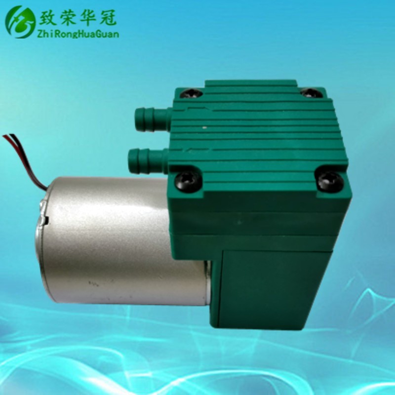 Vacuum pump DC12V Miniature air pump AC110V Small pump DC24V Inflating pump AC220V Beauty instrument