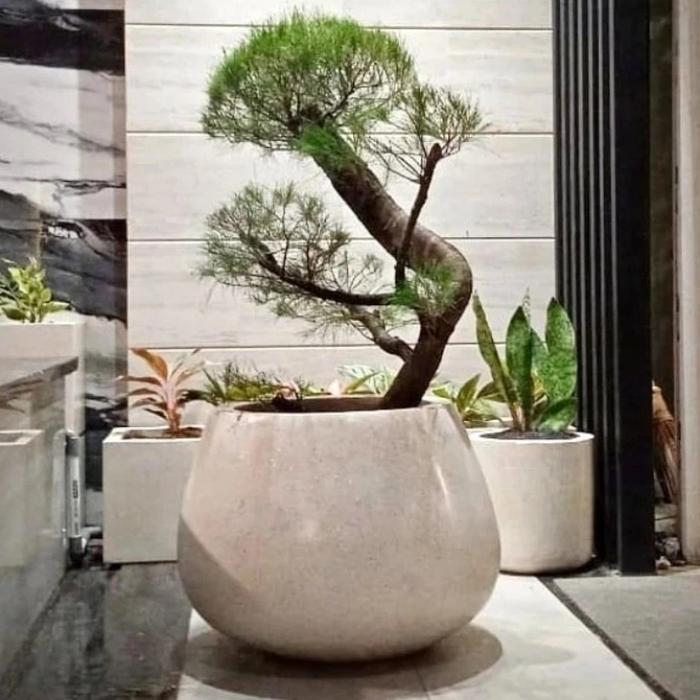 Pot teraso model gendang diamete T:50cm D: 40 cm