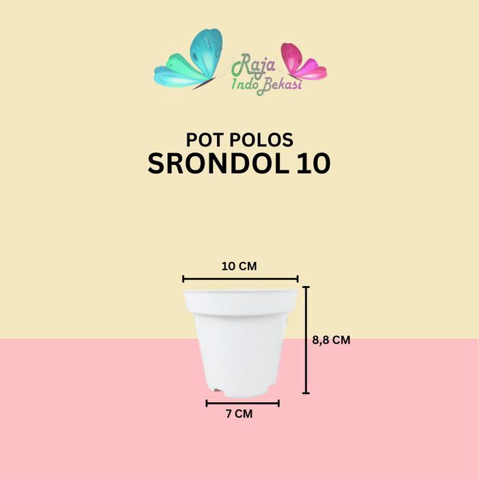 RAJA INDO Pot Tinggi Srondol 10 12 15 17 20 Pot Bunga Tinggi Pot Hias Aglonema