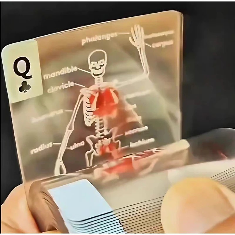 Body Deck Playing Cards Interesting Human Anatomy Playing Cards Playing Cards Card Game