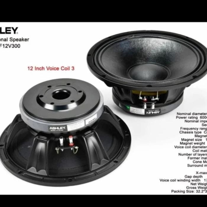 Komponen Speaker ASHLEY 12INCH LF12V300