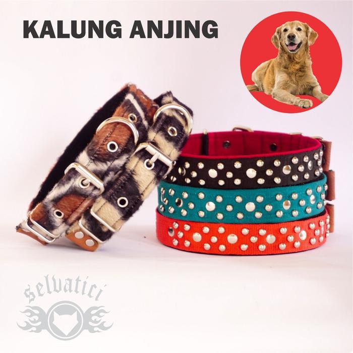 Kalung Anjing Husky Kalung Anjing Ras Besar Medium