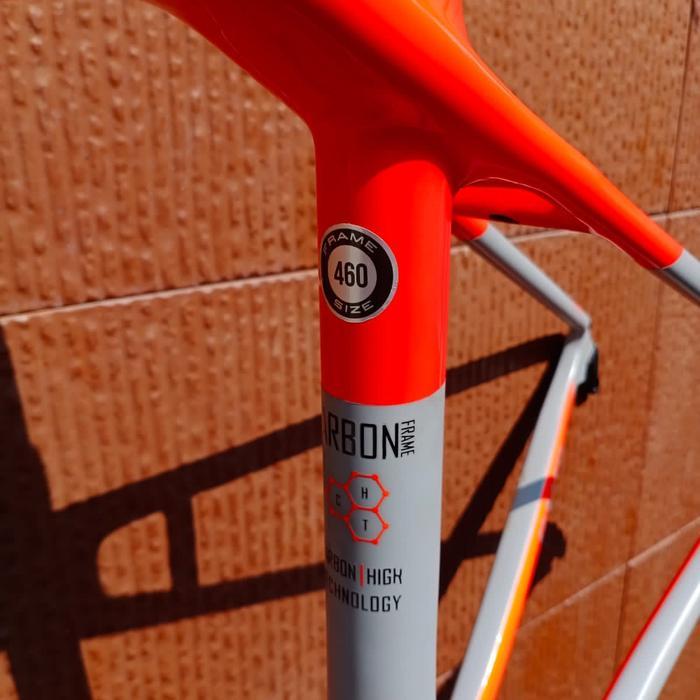 Frameset Camp Azzura Carbon Rimsbrake