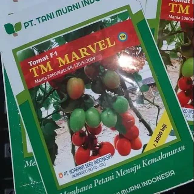 benih tomat TM Marvel F1 10 gr bibit tomat hibrida tani murni