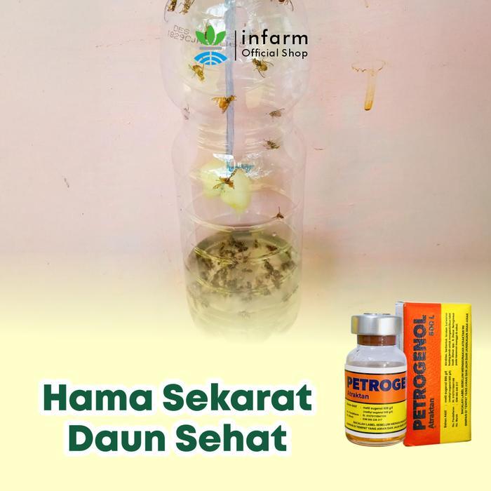 INFARM - Atraktan Perangkap Lalat Buah Petrogenol 5 ml Obat Pengendali Hama Buah Mangga Jambu Cabai