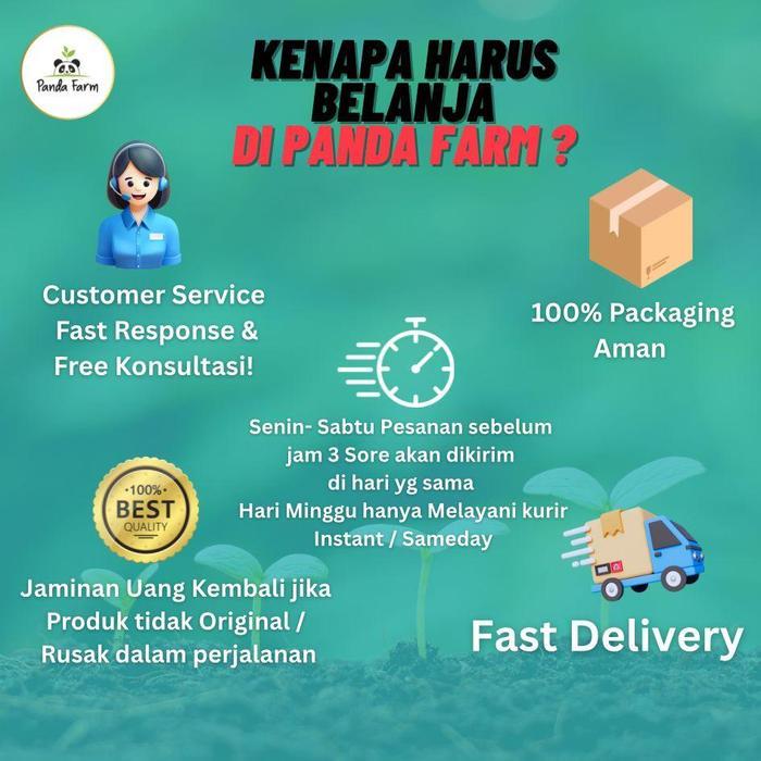 "New" Media Tanam Aglonema & Tanaman Hias Organik Pak Tani - 1 Karung
