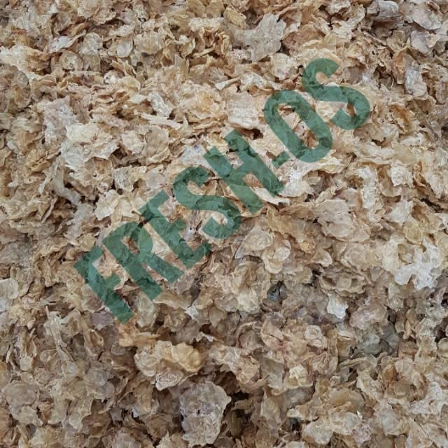 PERUT LAMBUNG IKAN KERING YIPHIAU YI PHIAU HEPIO HUPIO HIPIO HU PIO