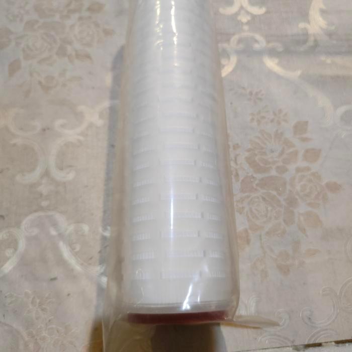 CARTRIDGE PLATED 10 INCH/PLATED 10 INCH 0.45 MIKRON