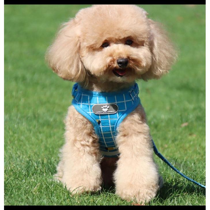 Tali Tuntun Kucing / Harness Anjing /Tali Harness Kucing / Harness