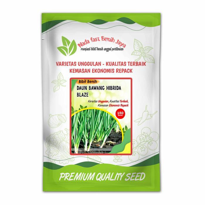 BENIH DAUN BAWANG HIBRIDA BLAZE PANAH MERAH