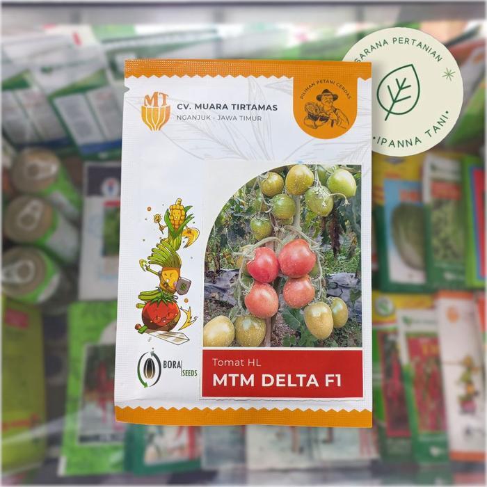 BENIH TOMAT MTM DELTA F1 BENIH SAYURAN TOMAT F1 BIBIT SAYURAN TOMAT F1