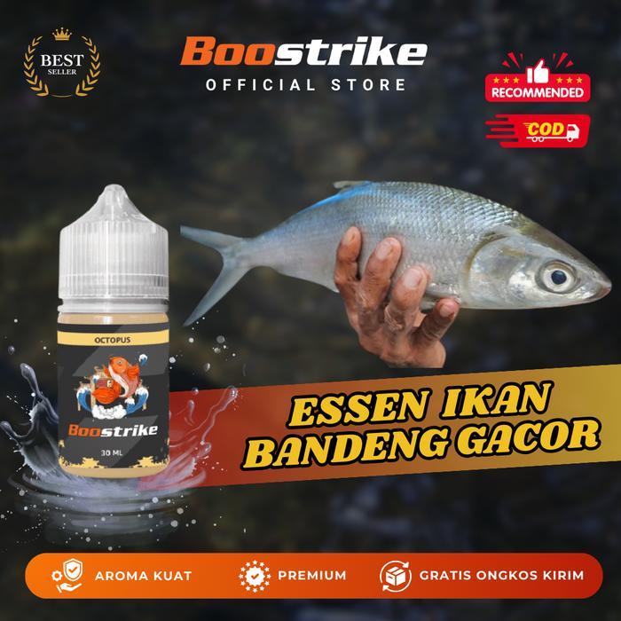 ESSEN IKAN BANDENG TAMBAK RAME DAN BABON PALING GACOR UMPAN PANCING