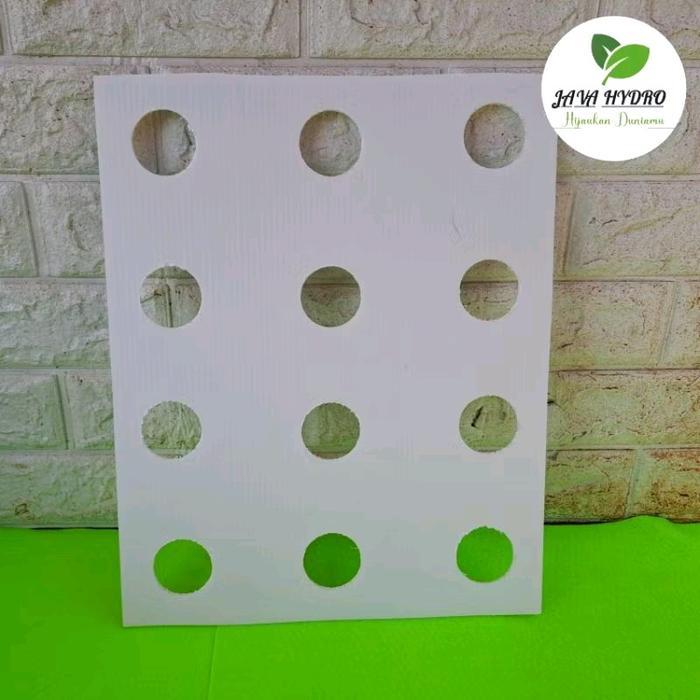 tutup bak baki hidroponik staterkit 12lubang impraboard hidroponik