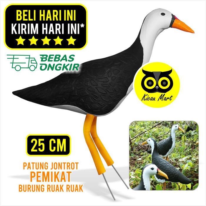 KICAU MART Pemikat burung kareo patung jontrot alat pikat burung sawah