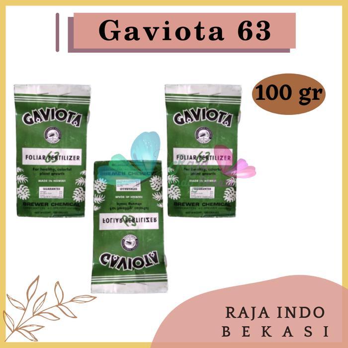 RAJA INDO PUPUK GAVIOTA 63 100 GRAM KEMASAN PABRIK BUNGA ANGGREK Gratis Ongkir