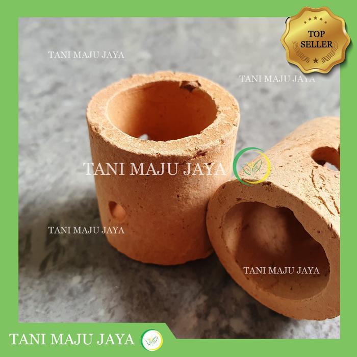 Pot Mini Tanah Liat Aquascape Aquarium Pembibitan Anggrek