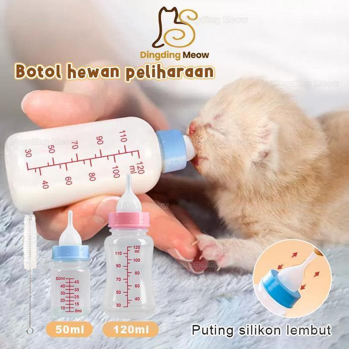 Botol Susu Anak Kucing Dot Kucing Baru Lahir Dan Anjing Kecil