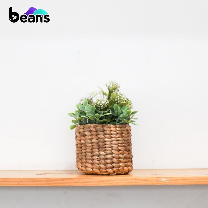 Beans Pot Tanaman Anyaman Eceng Gondok - Tempat Sendok
