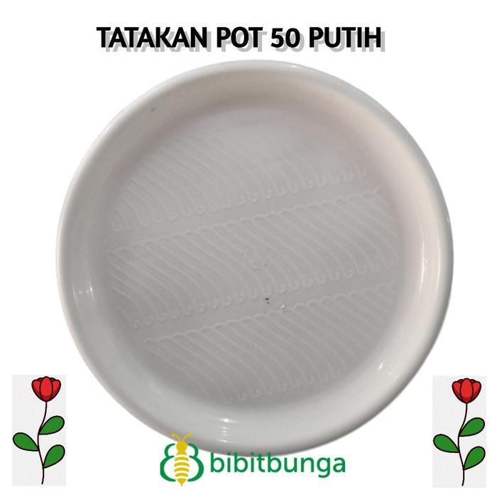 """] Tatakan Jumbo 50cm 50 cm Alas Dudukan Pot Tanaman Bunga Ukuran Besar