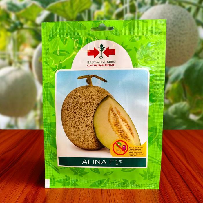 Serasiinspace Benih Bibit Melon Alina F1 40 Butir Panah Merah