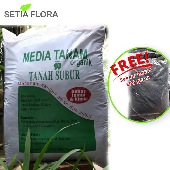 Pupuk Media Tanam Organik Tanah Subur Free Sekam Bakar 800 Gram