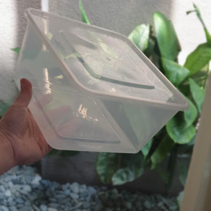 Thinwall Square 3000ml / Thinwall Kotak 3000ml. Isi 25pcs