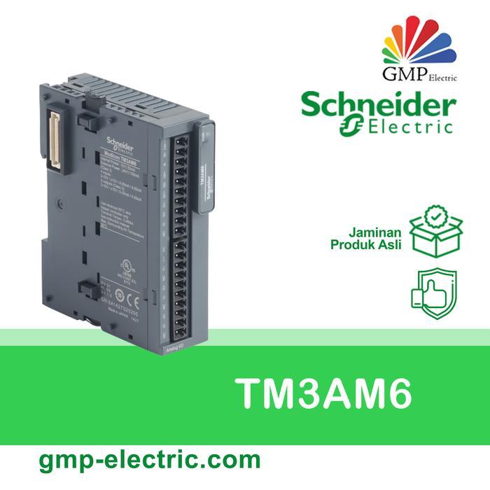 Jaminan Termurah Plc Schneider Tm3Am6 Analog Input, 4 Analog Input 2 Analog Output
