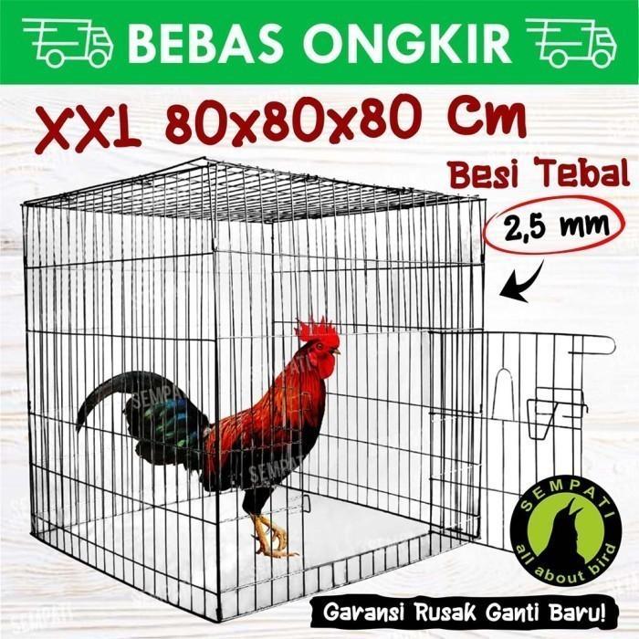Sangkar kandang besi galvanis kotak kurung kurungan ayam laga aduan