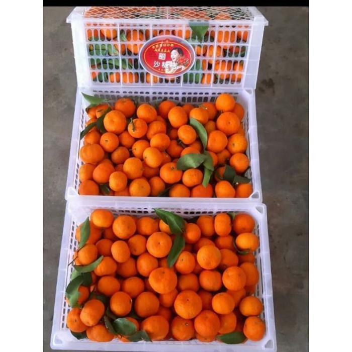 JERUK SANTANG MADU DAUN HARGA PER KERANJANG 6KILO