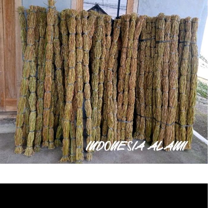 "New" Akar Manon 1 ikat 100 Batang/akar manon/ akar Manon dekorasi/ akar rustic Dekorasi Dinding