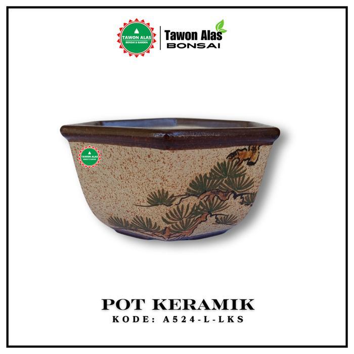 Zico Stored Pot Keramik Bonsai Sukulen Kaktus Segi Enam Small Kecil Bukan Plastik