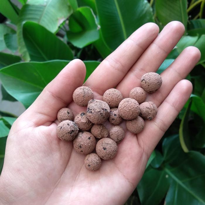 NEWW Hydroton / Hidroton / Hydroton Clay Balls / Media Tanam Hidroton