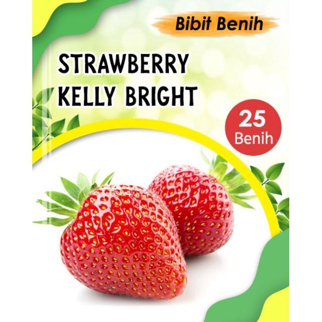 BENIH STRAWBERRY KELLY BRIGHT UNGGULAN
