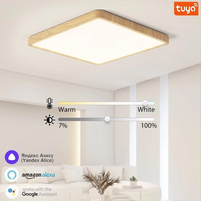 . Tuya Smart Ceiling Lamp App Voice Control With Alexa Yandex Square -