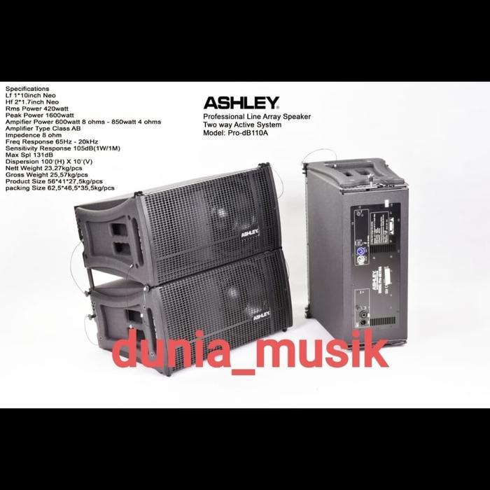 Speaker Line Array Ashley Pro Db110 Prodb110 Prodb 110 Original Ashley Co