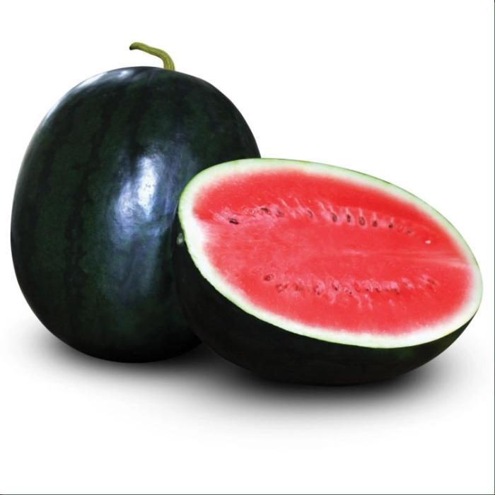 Sale Terlaris 5 Biji - Benih Semangka Merah Praya F1