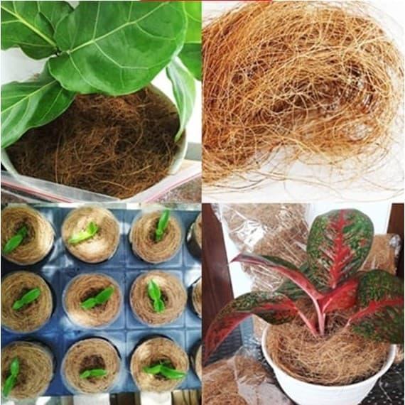 sabut kelapa/media tanaman