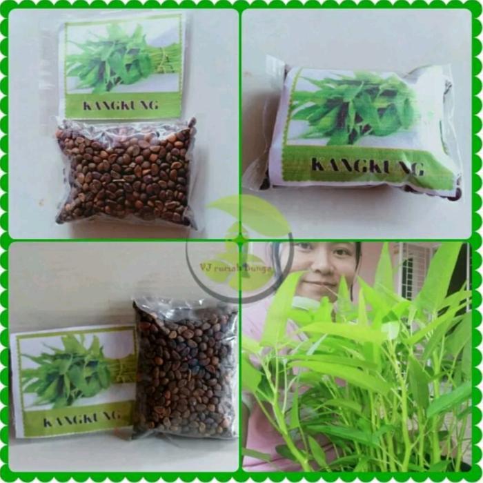 super jumbo benih kangkung 5 kg